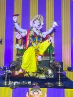 Collector Compoundcha Raja