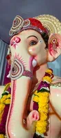 ANTOPHILL CHA SAMRAT